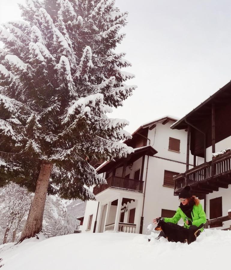 Elison-On The Lake B&B Sauris Exterior photo